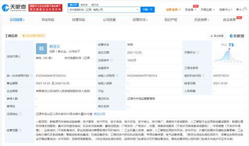 数据处理及存储服务 数字化时代的基石与引擎