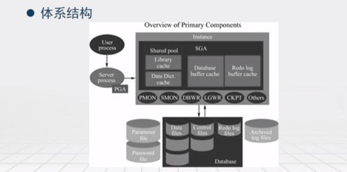 数据库原理与应用 六类主流数据处理及存储服务产品简介